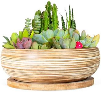 ARTKETTY Succulent Pots - 7.5 Inch Large Plant Pot with Bamboo Tray, Shallow Bonsai Pots with Drainage, Ceramic Planter for Indoor Plants, Cactus, Home Office Desk Decor