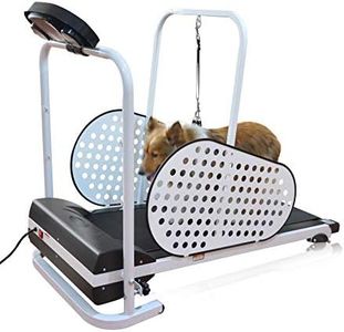 Shelandy Pet Treadmill | Smart and Motorized Treadmill for Small & Medium Dogs