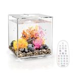 biOrb CUBE Aquarium 30L MCR Clear