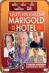 The Best Exotic Marigold Hotel Retr