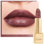 Oulac Metallic Brick Red Lipstick for Women, High Impact Lipcolor with Moisturizing Creamy Formula, Vegan Beauty Full-Coverage Matte Lipstick, Cosmo(23)