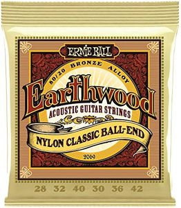 Ernie Ball