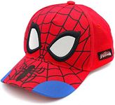 Accessory Supply Spider-Man 3D Boy 