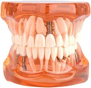 Las prótesis dentales removibles adulto modelo de los dientes del dentista estándar Patológica removibles Herramientas de dientes de enseñanza, color naranja