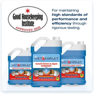 Wet & Forget Outdoor Mould & Algae Remover – Bleach Free, 4 Litre