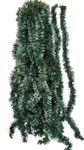 Urvi Creations 5 Pcs Artifficial Dark Green Pine Merry Christmas Strings,Garlands Ribbon for Xmas Christmas and Tree Decoration 5.5 Ft