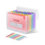 ThinkTex Accordion File Organiser, 12 Pockets Expanding File Folders, Portable Monthly Bill Receipt Organiser, Colorful Tabs, Letter/A4 Size