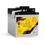 ATP EV Lithium Ion Battery 48V 29Ah for All Ebike, Smart Battery with Mobile App Control, Electric Scooter, SB50 Connector, 15 Months Warranty, 75 km Range