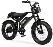 Qlife Electric Bike for Adults-1500