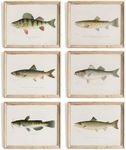 Fish Wall Art Prints (Set of 6) - U