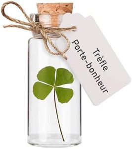 Trèfle à 4 feuilles porte-bonheur dans une fiole en verre pour porter chance, cadeau grigri pour célébrer amour, amitié ou pour un cabinet de curiosités