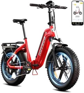 HOVSCO Klapprad E Bike 20 Zoll für Erwachsene mit App-Steuerung & Federung, Fatbike Elektro Klapprad Fahrrad 48V/15AH Akku 250W Klapp E Bike, Alu-Durchstieg-Rahmen, bis 204kg
