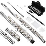 POGOLAB Open Hole C Flute, 16 Keys Student Flute Instrument for Beginner Advanced Player, with Carry Bag, Strap, Gloves, Adjustment Screwdriver, Cleaning Kit (Open/Closed Hole, Silver Plated)