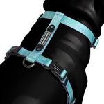 Heads Up For Tails Nylon Summer Sky Dog H Harness - M: 20.4-29.5" Girth