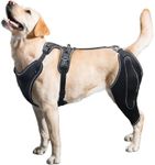 Dog Knee Brace Support for Back Leg