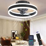 Wildcat Ceiling Fans with Lights, Quiet Modern LED with Remote Control Timer Fan Ceiling Light Fan Light for Living Room Bedroom Dining Room (Colour: Black, Size: 40 cm)