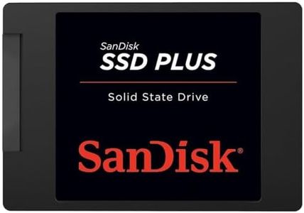 SanDisk SS