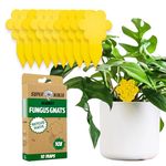 Super Ninja Fungus Gnat Killer - 10 Traps - Highly Effective and Ecological Yellow Sticky Traps Fruit Fly Trap for Fruit Flies, Fungus Gnat and Whitefly - Easy-to-Use - Up to 3 Months