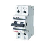 Anchor by Panasonic 98083 UNO Series 40 Ampere Dual Pole Change Over Switch Circuit Breaker Safe Reliable Protection (White)