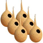 BirdShala Organic Large Round Bird Nest Set Of Six, Purely Made By Bird Building Technique Bird House (Hanging, Wall Mounting, Tree Mounting)