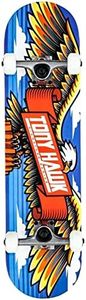 TONY HAWK 