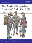 The Austro-Hungarian Forces in World War I (2): 1916-18: 397