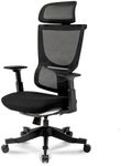 FLEXISPOT Ergonomic Office Chair, Mesh Desk Chair with 9 Level Adjustable Backrest, Lumbar Support, Lift Armrest, Computer Chair for Office Home,Black