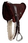 CHALLENGER Horse Western Fleece Padded Bareback Saddle Pad Brown w/Cinch Stirrups 39174.