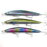 momolures - Bass lures Shining Minnow Shallow Line R50+SSR 120mm 16g Seabass Shore fishing R50 SSR (3 Pieces Assort #02)