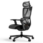 ProtoArc EC100 Ergonomic Office Chair - Higher Back Computer Desk Chair with 10CM Thicker Spring Cushion, Adaptive Lumbar Support, Adjustable Armrest & Headrest, Breathable Mesh for Home Office Black