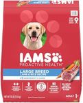 IAMS Large