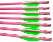 GPP 28" Pink Fiberglass Archery Target Arrows - Practice Arrows or Youth Arrows for Recurve Bow- 12 Pack