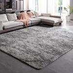 Fyoulimt Area Rugs 6x9 for Bedrooms, Fluffy Rugs for Living Room Decor, Ultra Soft Anti Slip Shag Fuzzy Carpets，Washable Large Area Rugs for Nursery, Kids, Girls, Boys Light Grey