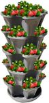 5-Tier Stackable Strawberry Garden – 24 Quart Indoor/Outdoor Stacking Planter with Drip Saucer – Grow Herbs, Strawberries, and Flowers from The Kitchen or Backyard – Plant and Stack! Easy Gardening