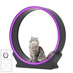 Smart Cat Wheel with Multifunctiona