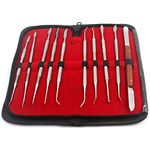 PRECISE CANADA: Dental LAB Equipment Dental Dentist Sculpture KIT Wax Carving Tool Set,10 PCS/Set New