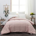 AYSW Duvet Double Comforter and Ant