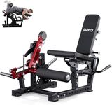 GMWD Leg Extension and Curl Machine
