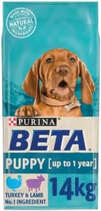 BETA Puppy