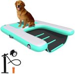 Inflatable Dog Raft Boat Dock Ramp 