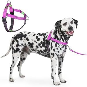 APDEXY Freedom No Pull Dog Harness for Large Dogs, Front Clip, Easy Walker, Anti Pull with Two Stainless D-Rings, Comfortable, Sewn-in Instructions Tags for Easy Use (Purple, XXL)