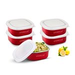 KITCHEN CLUE Microwave Safe Stainless Steel Tiffin Box/Lunch containers - Pack of 5 Pcs, 350 ML Each - Airtight & Leak-Proof Lids - Easy to Carry - Easy to Re-Heat in Minutes - Lunch Box for Office