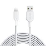 10ft Lightning Cables