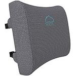 Modvel Lumbar Support Pillow for Office Desk Chair - Memory Foam Back Cushion (MV-101-GREY)