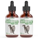 Natural Antibiotics for Cats | Cat 