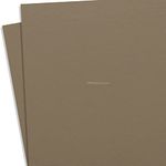 KYDEX Thermoform Sheet - (P1 Texture) - (.080 Thickness) - (8in x 12in) - (Flat Dark Earth Spring) - (2 Sheets) - (for KYDEX Holster Making & Hobby)