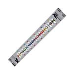 PEBEO Studio Fine XL Oil - Set of 40 Colours in 20 ML Tubes