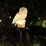 Tuch-much Resin Owl Solar LED Light with Stake, Animal Waterproof Light for Flower Fence Lawn Passage Walkway Courtyard Party Decoration(Pack 1)