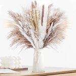 Natural Dried Pampas Grass (UK Company), 65PCS Dried Flowers Fluffy Pampas Grass Bouquet, Artificial Pampas for Wedding Floral Arrangements Boho Home Decor