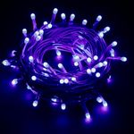 Lexton Lunar Decorative String Light/Fairy Light | 12.5 Meter, 75 LEDs | Plug Sourced | Suitable for Home & Outdoor Decoration, Diwali, Christmas, Wedding, Party, Lawn (Pack of 1, Blue)